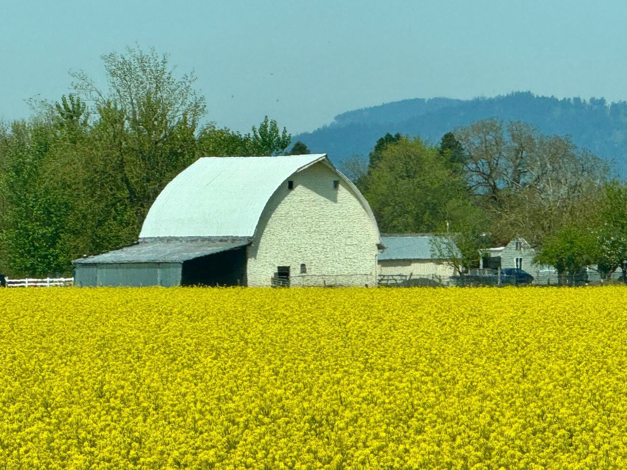 Albany agricultural landscape