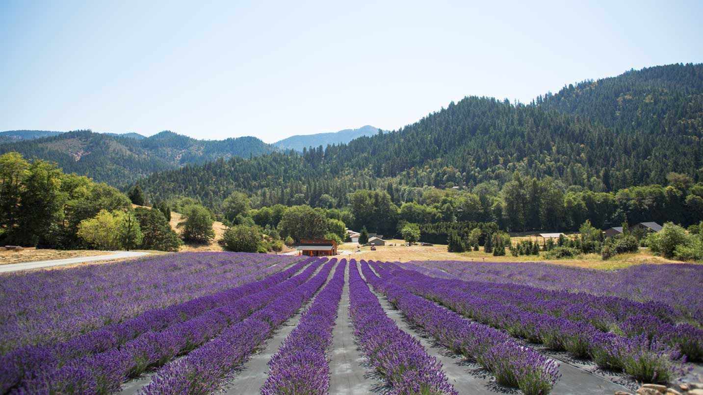 Medford agricultural landscape