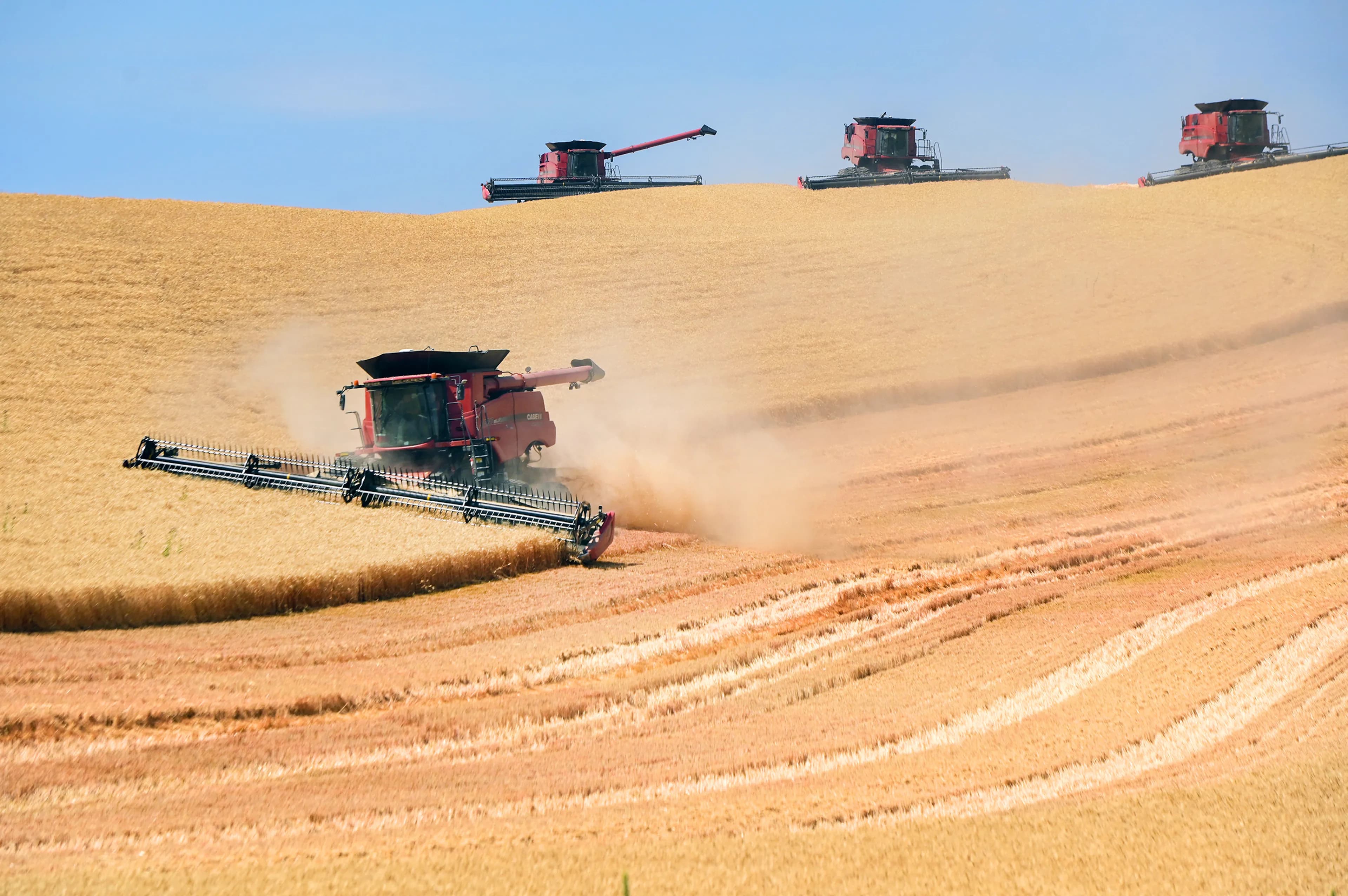 Colfax, Washington: The Palouse farmland and agriculture