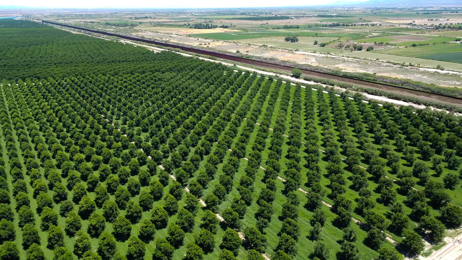 El Paso, Texas: Upper Rio Grande farmland and agriculture