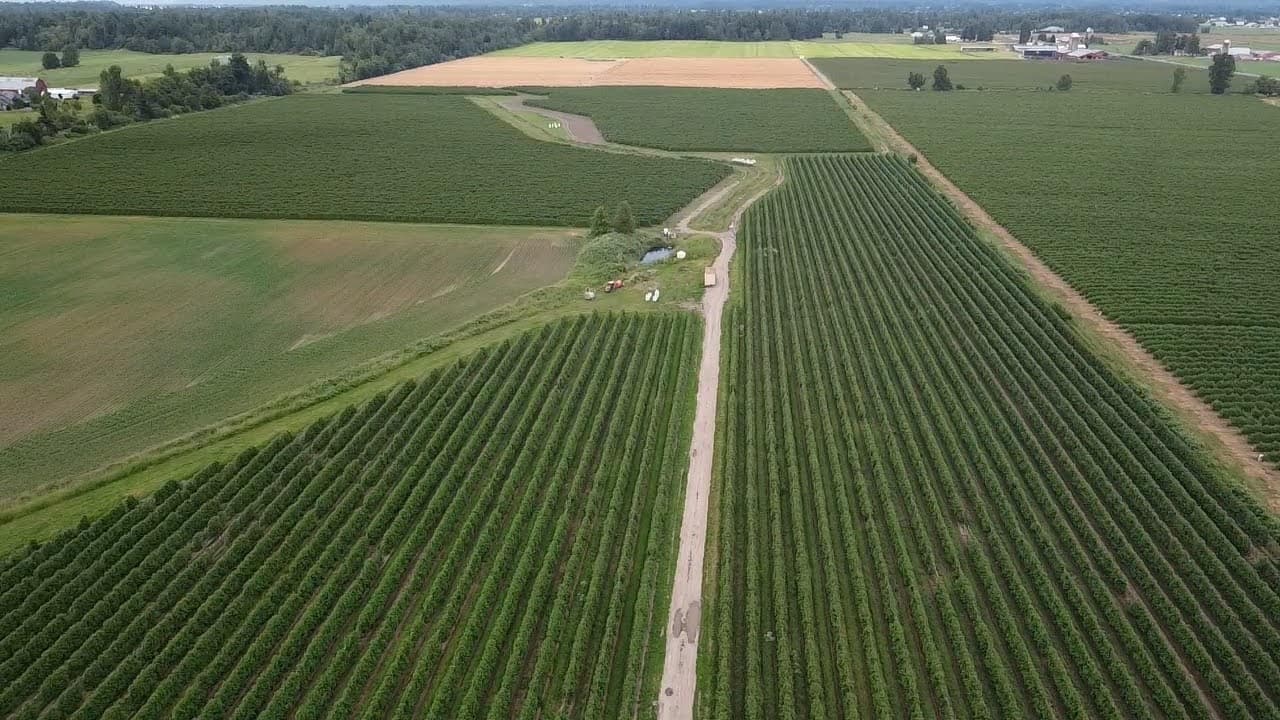 Lynden, Washington: Whatcom County farmland and agriculture