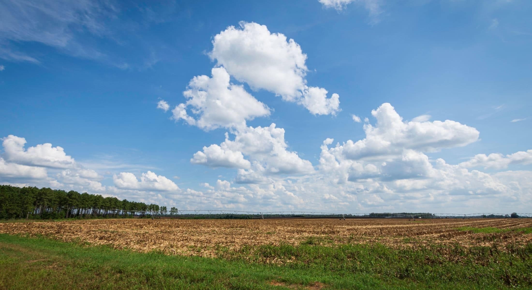 Plainview, Texas: South Plains farmland and agriculture