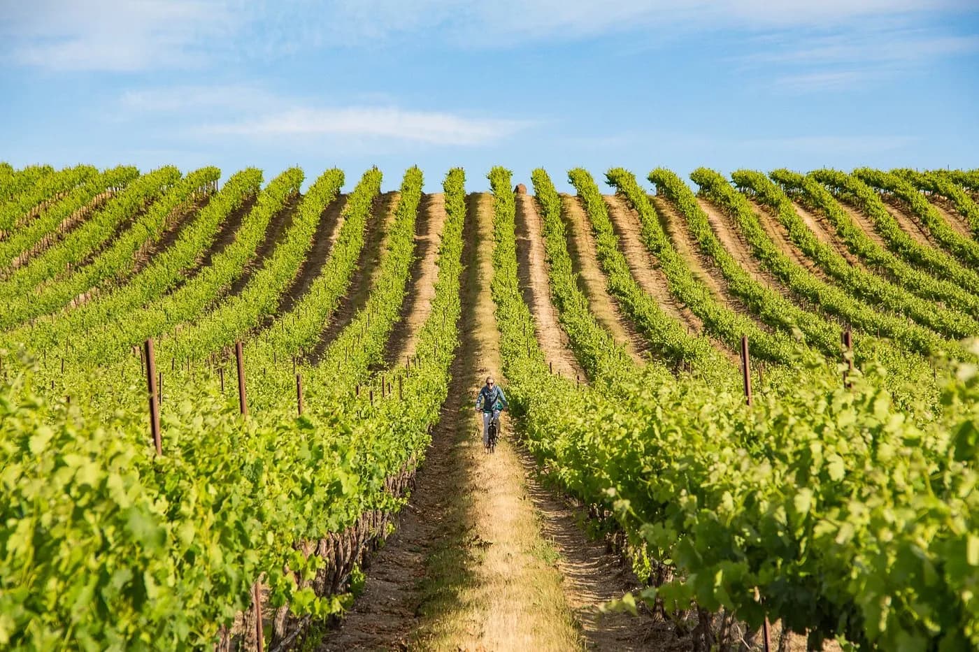 Prosser, Washington: Yakima Valley farmland and agriculture