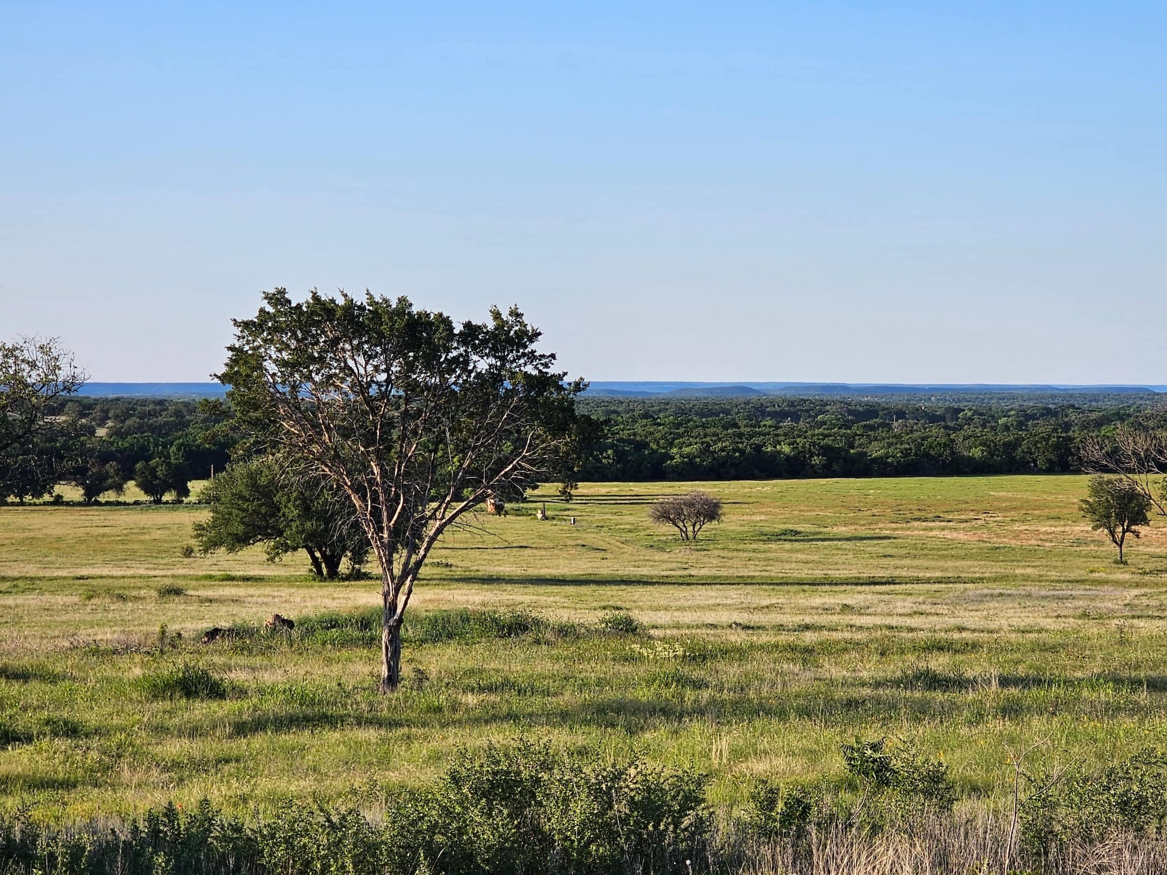 Stephenville, Texas: Cross Timbers farmland and agriculture