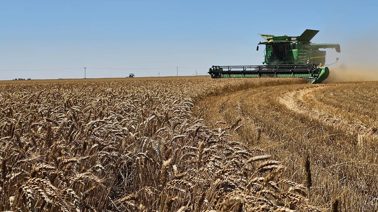 Sulphur Springs, Texas: Northeast Texas farmland and agriculture