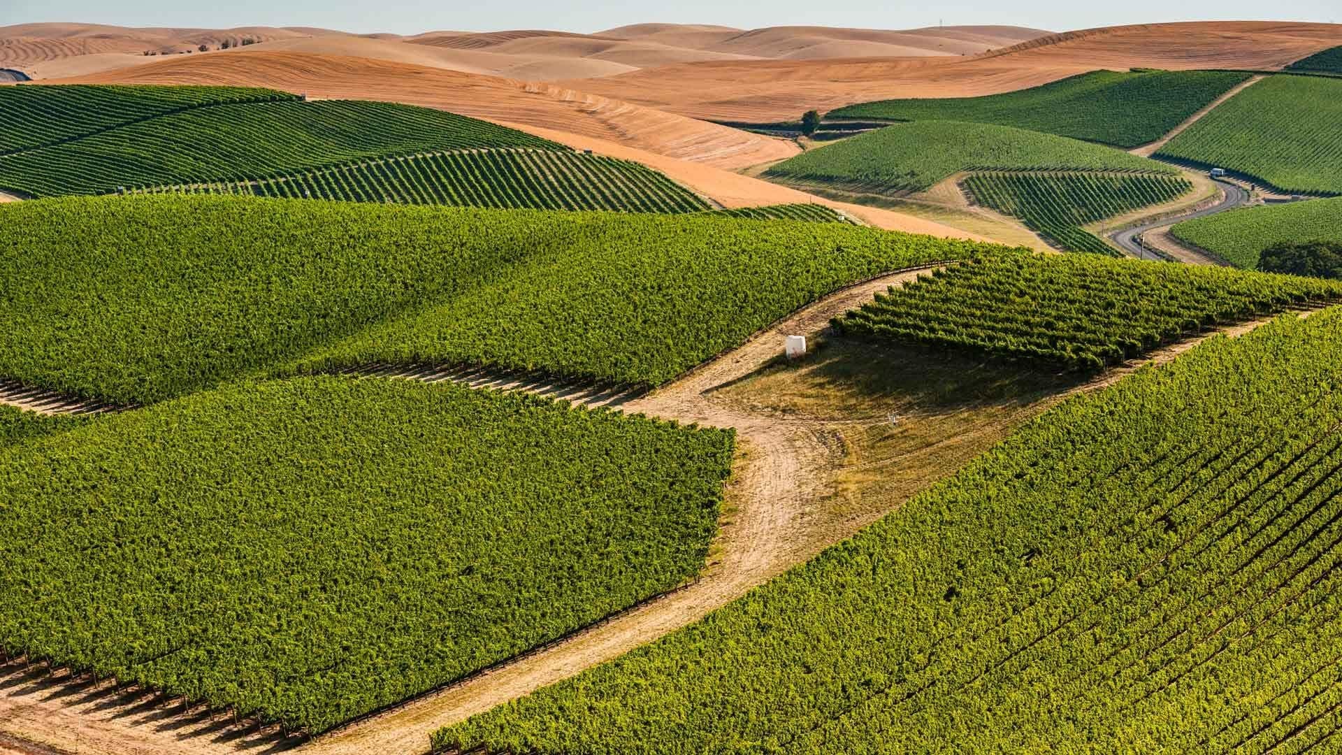 Walla Walla, Washington: Walla Walla Valley farmland and agriculture