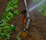 Complete Irrigation Installation
