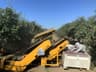 Prune Harvest