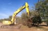 Orchard Removal