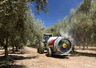 Orchard Spraying