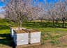 Pollination Services