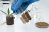 Soil Analysis
