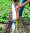 Water Analysis