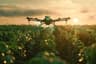 Drone Nutrient Services