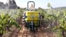 Vineyard Spraying