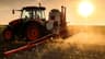 Field Weed Management