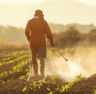 Weed Management