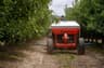Pesticide & Herbicide Application