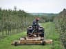 Mowing