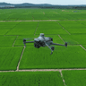 Drone Multispectral Surveys