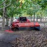 Almond Sweeping