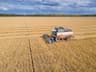 Oat Harvest