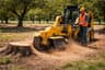 Stump Grinding