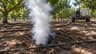 Burrow Fumigation