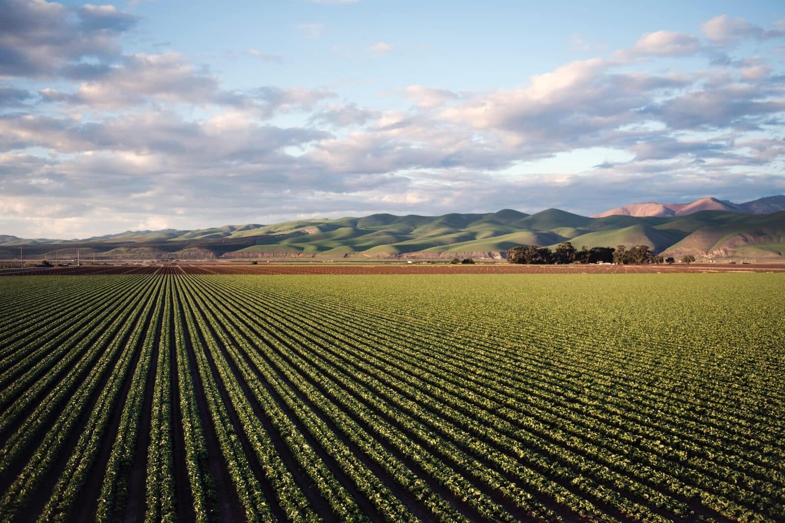 Agriculture and farmland across Washington