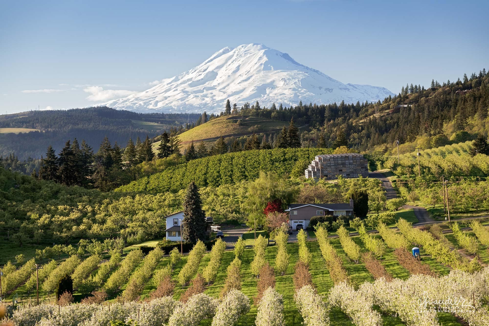 Hood River agricultural landscape
