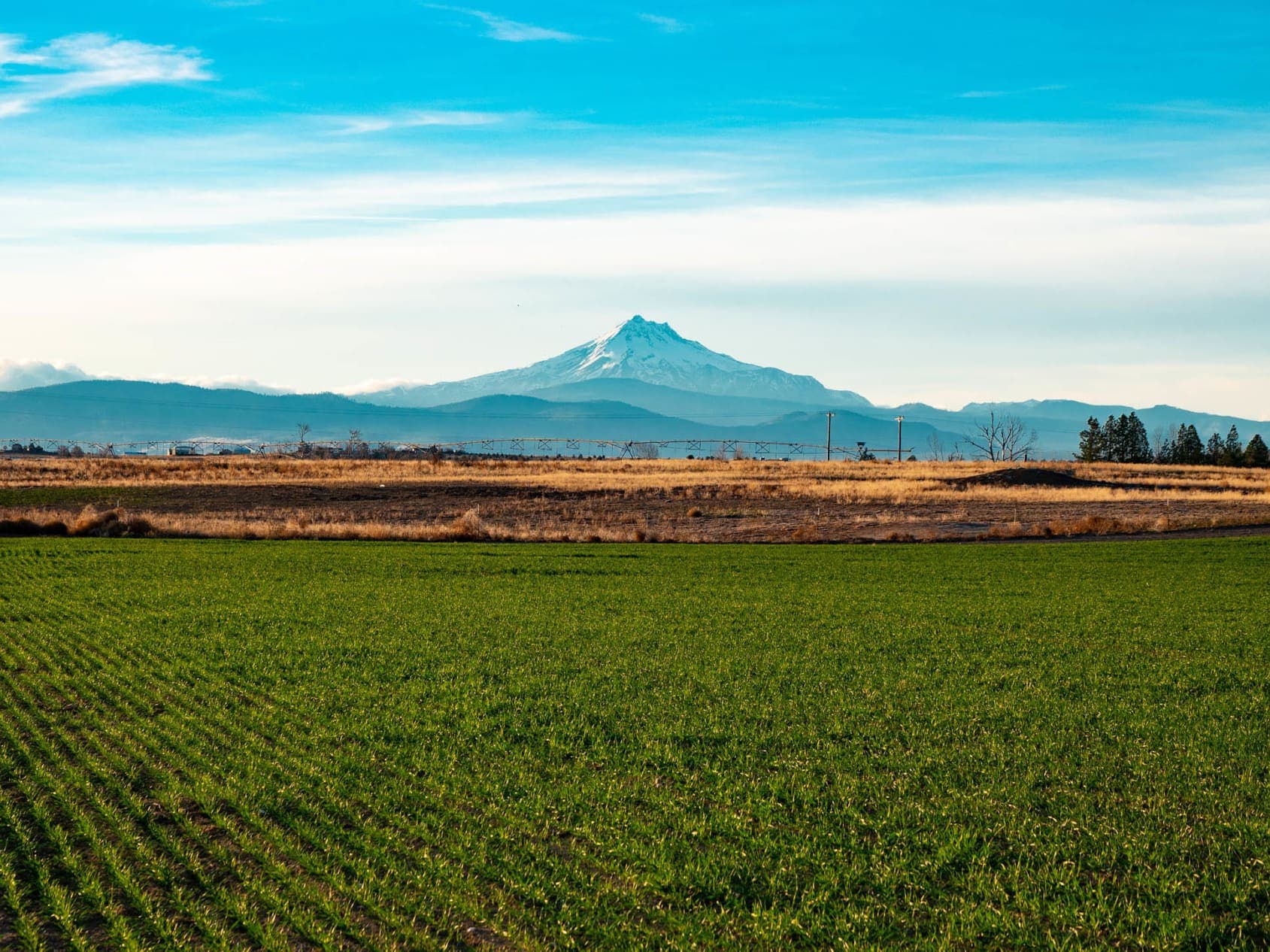 Madras agricultural landscape