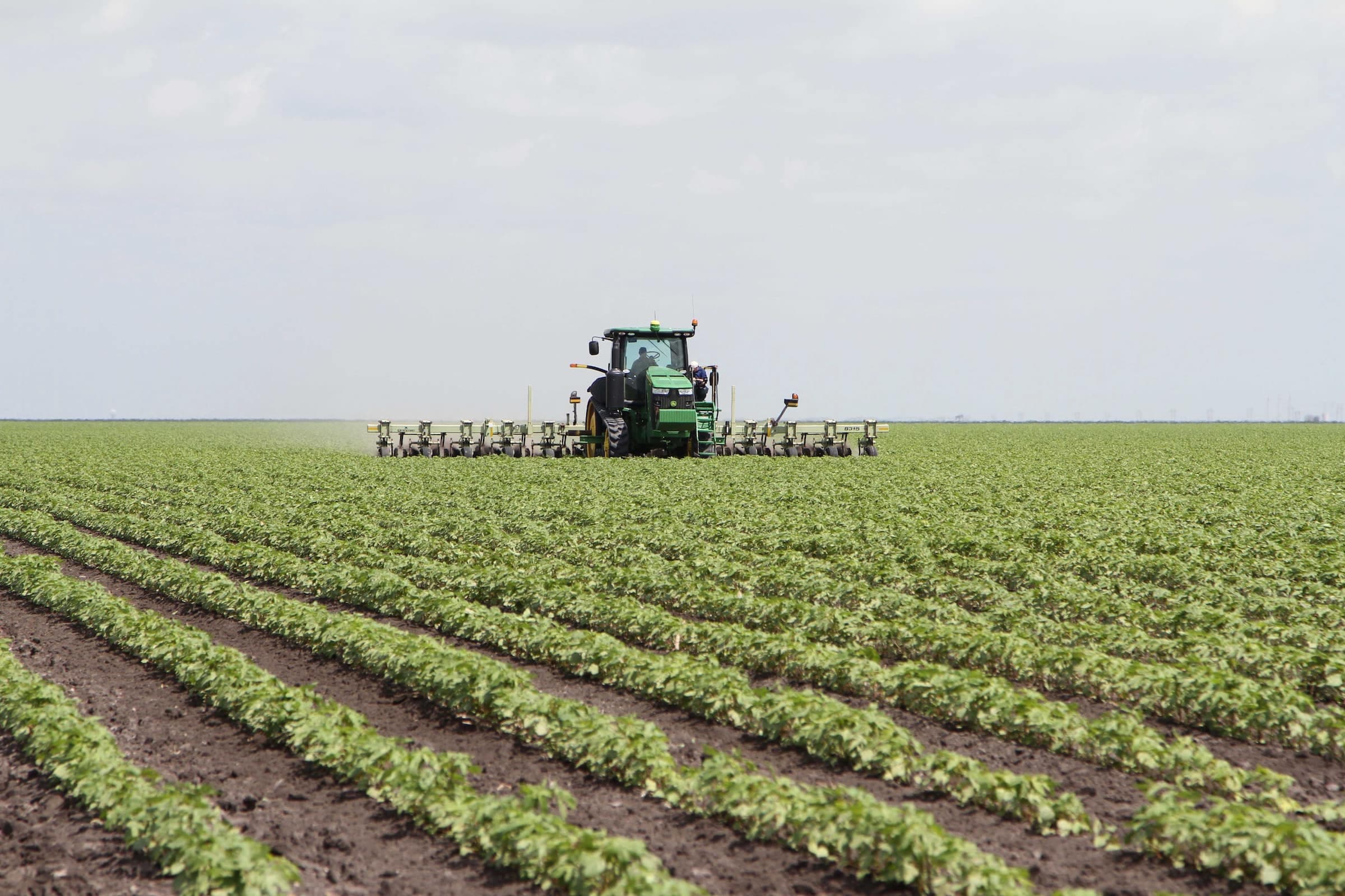 Lubbock, Texas: South Plains farmland and agriculture