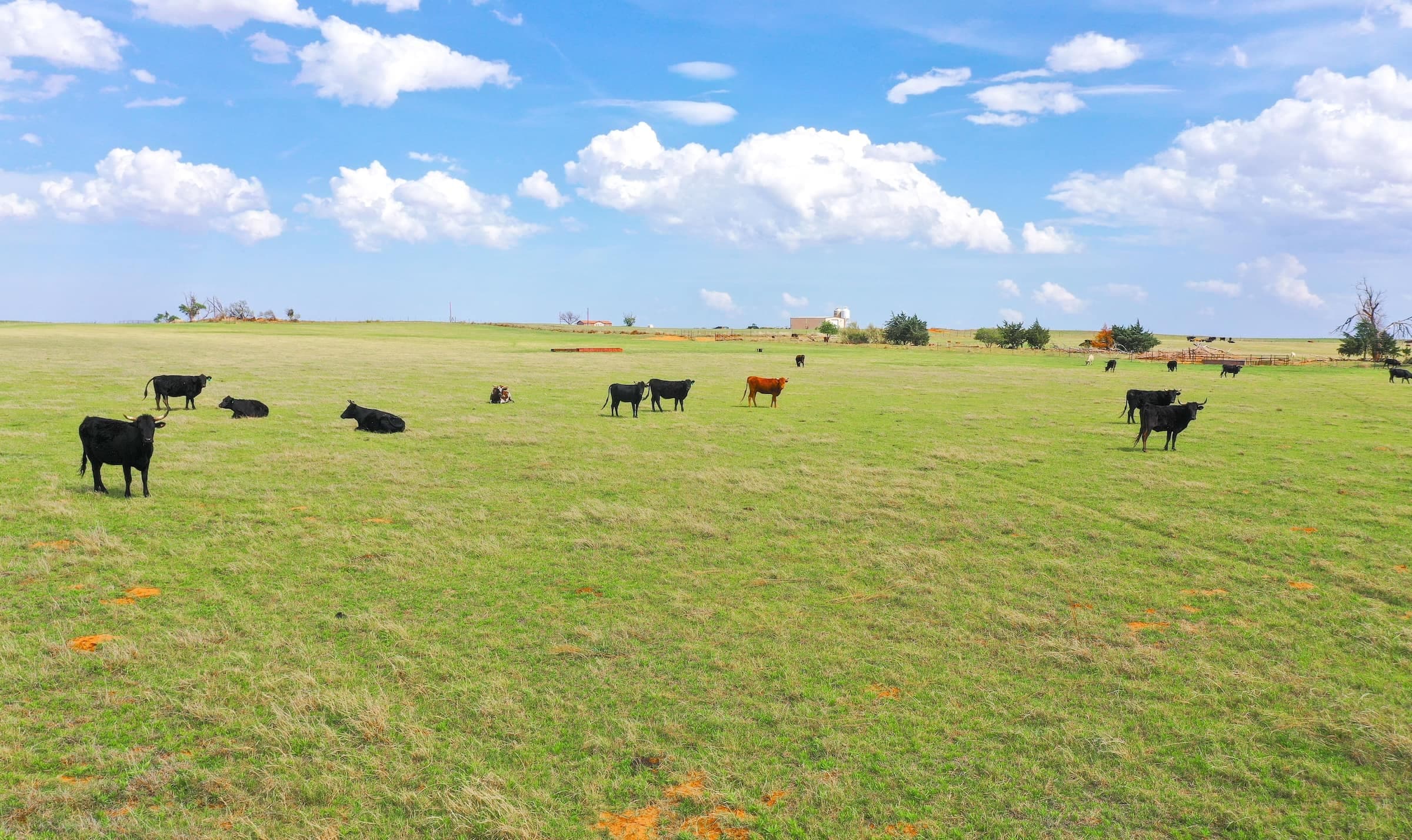 Vernon, Texas: Rolling Plains farmland and agriculture