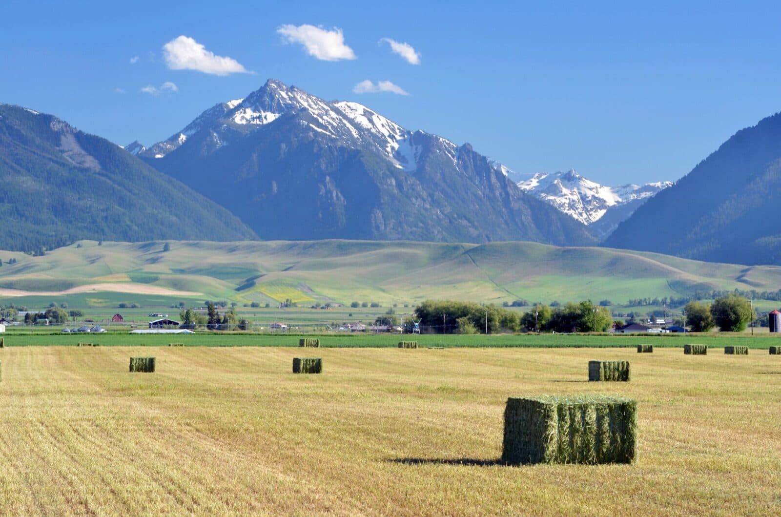 Oregon Ag services