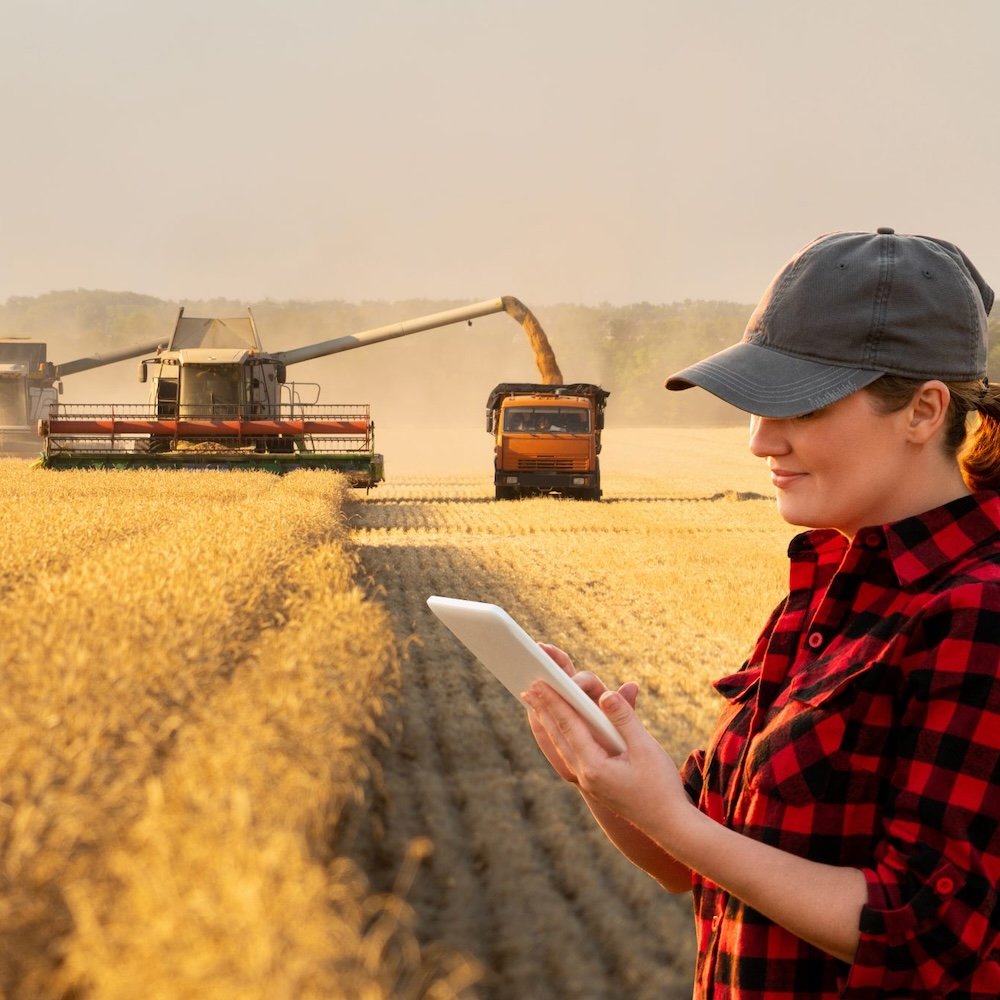 provide field services online