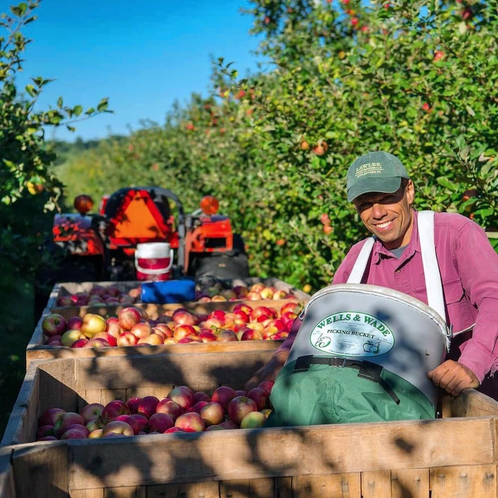 provide orchard services online
