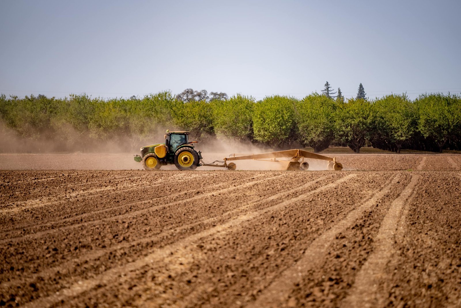 orchard services Chico CA