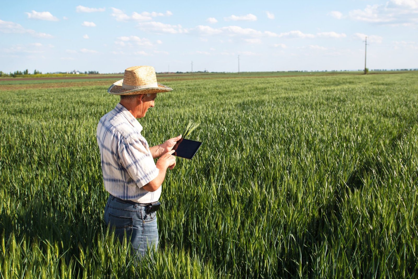 How Ag Service Providers Can Do More With Less