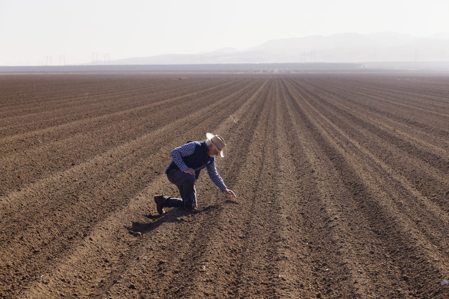 February Farm Planning in California: What Growers Should Be Preparing for Now