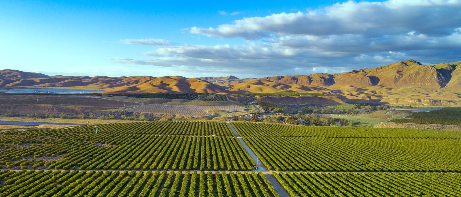 agricultural services Kern County