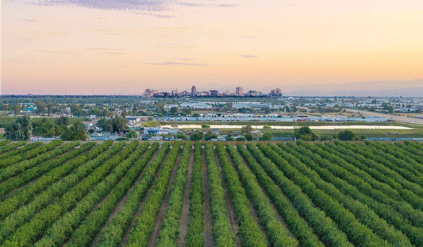 custom harvesting Fresno
