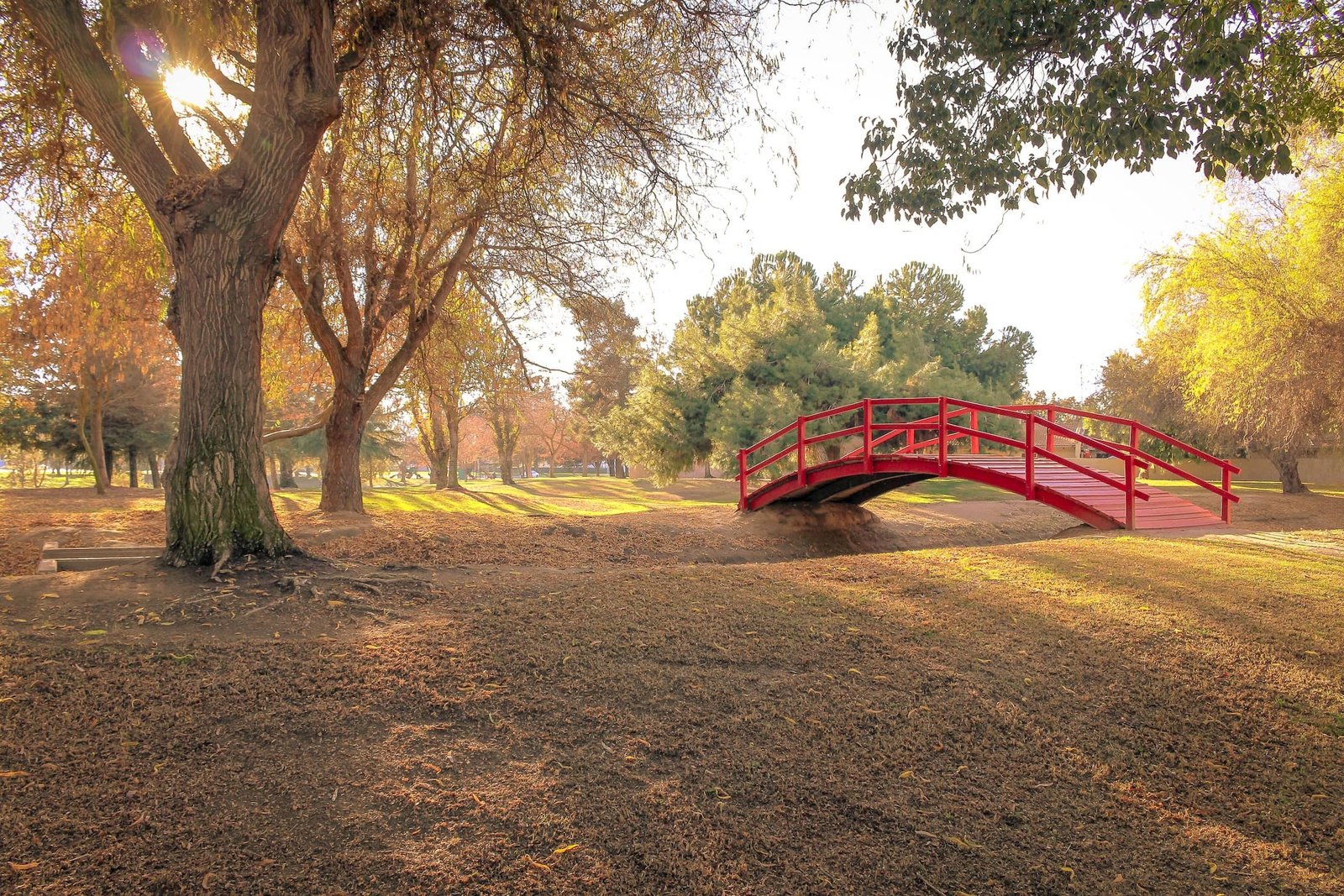 irrigation services Madera