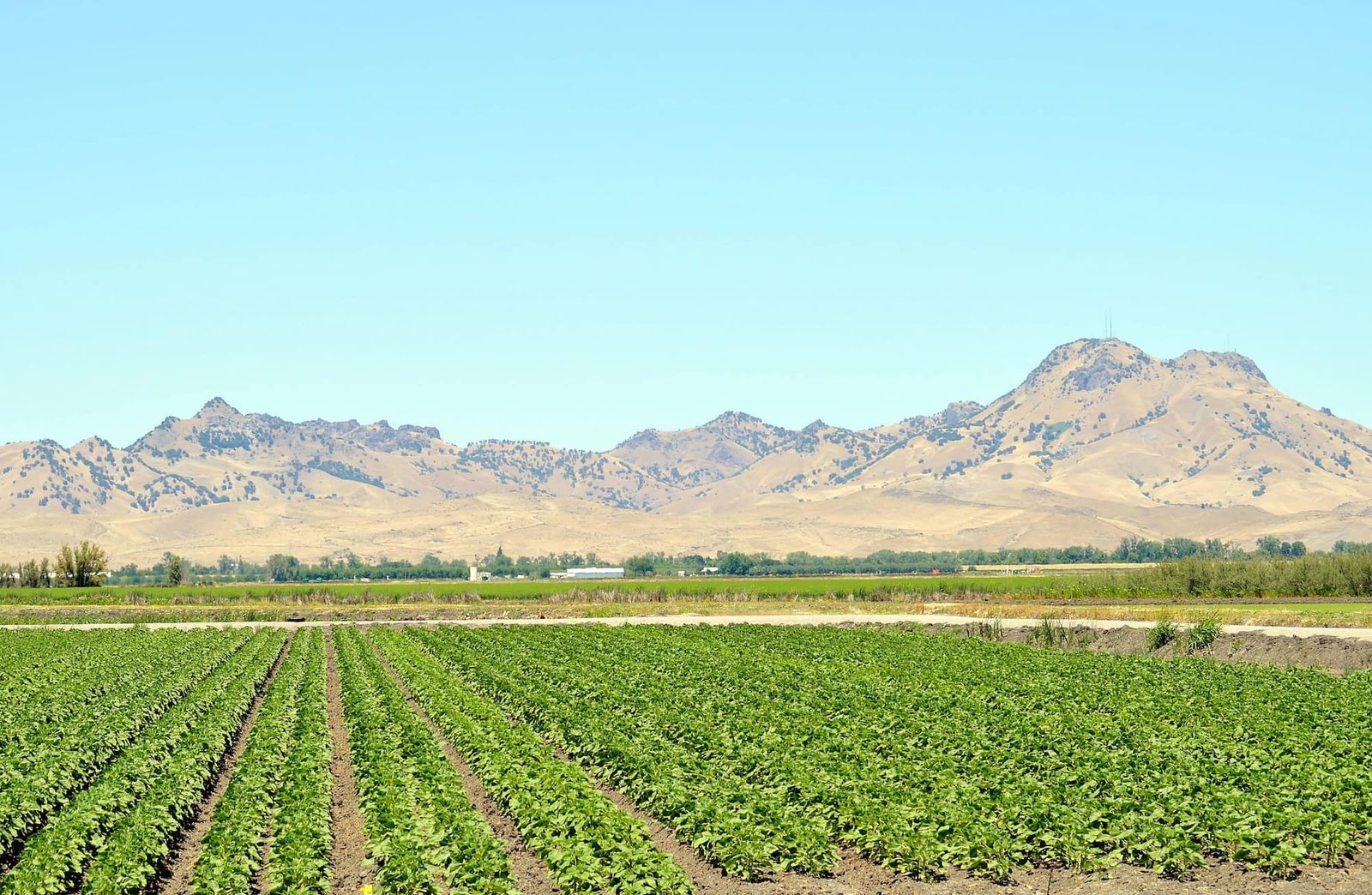 farm help Sutter County