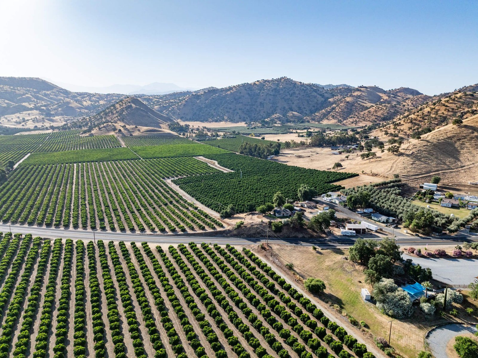 citrus spraying Visalia