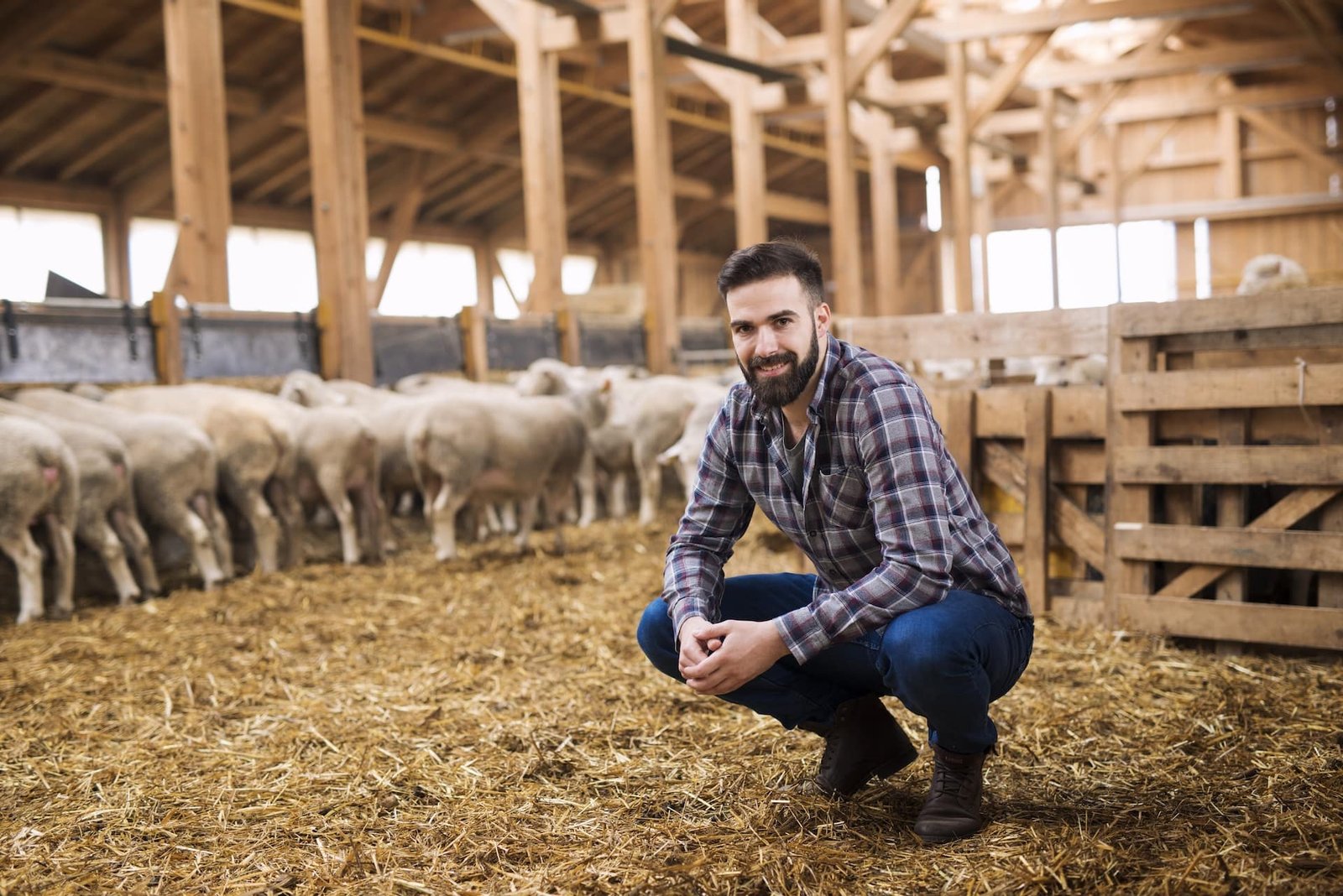 {hub}-dairy-and-livestock