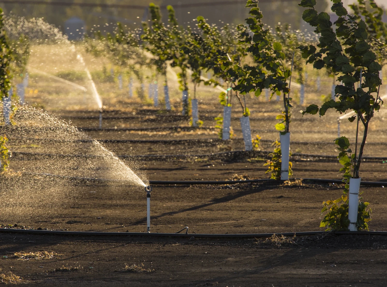 Ag Irrigation Services services
